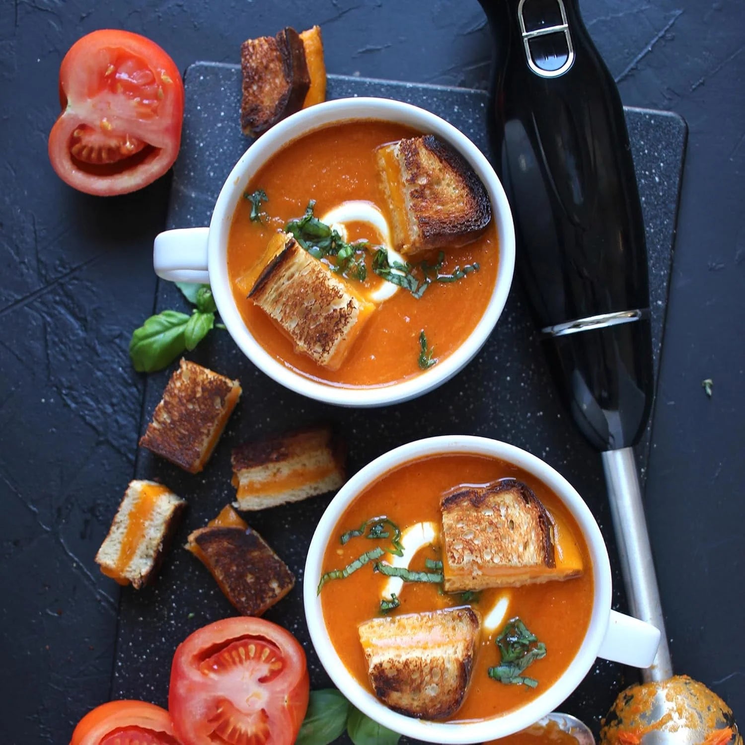 Nova - Professional Hand Blender