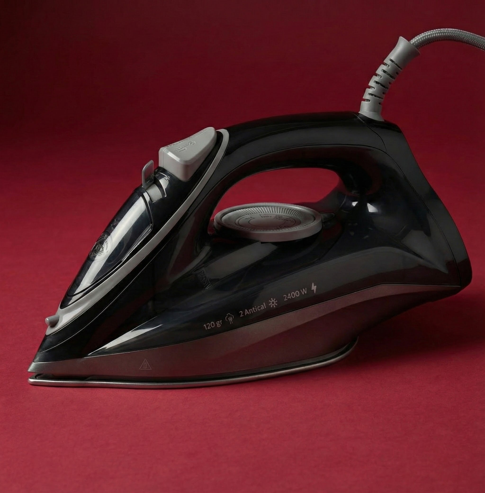 Professional Steam Iron